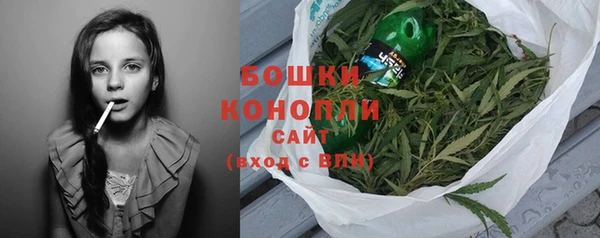 мдпв Верея