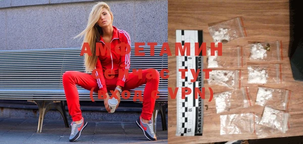 мдпв Верея