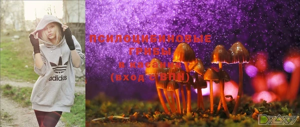 мдпв Верея