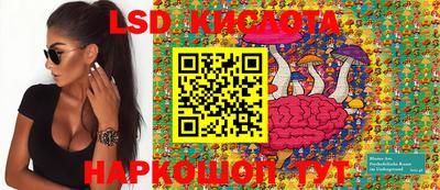 mdpv Гатчина