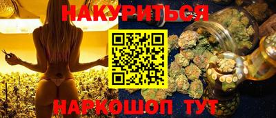 mdpv Гатчина