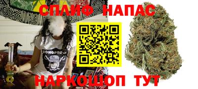 мдпв Гагарин