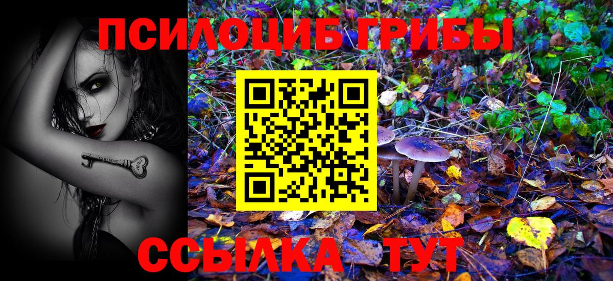 Рузаевка  Галлюциногенные грибы прущие грибы  Псилоцибиновые грибы ЛСД  купить  цена  Вход с VPN 