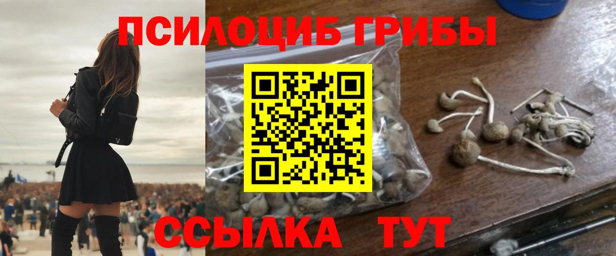Псилоцибиновые грибы GOLDEN TEACHER Рузаевка