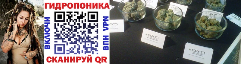 закладка Рузаевка Каннабис индика
